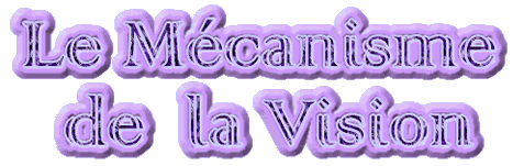 Le mécanisme de la vision
